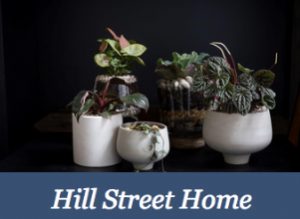 Greek Life available now at Hill Street Home, Hobart, Tasmania